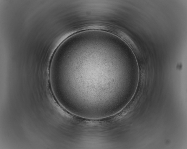 X0000091010852200708021547
