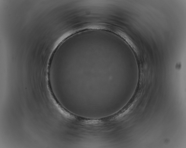 X0000091010853200708021547