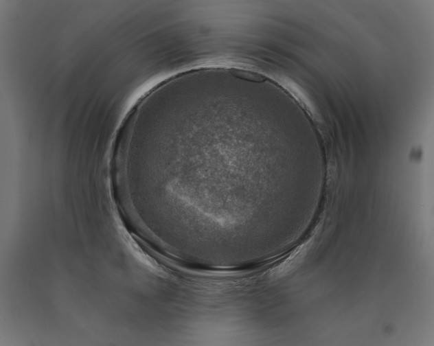 X0000091010854200708021547