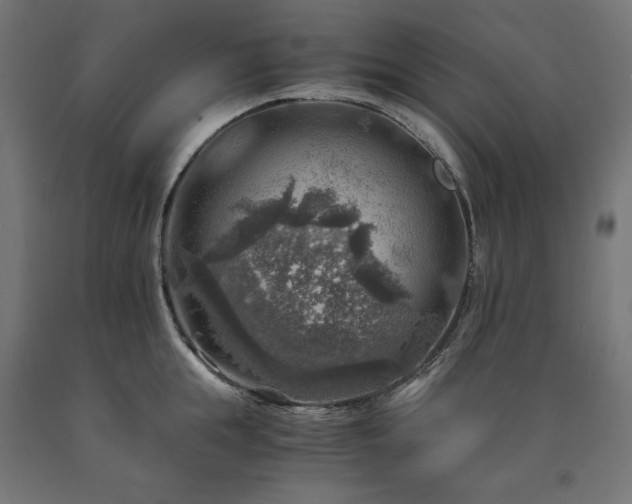 X0000091010855200708021547