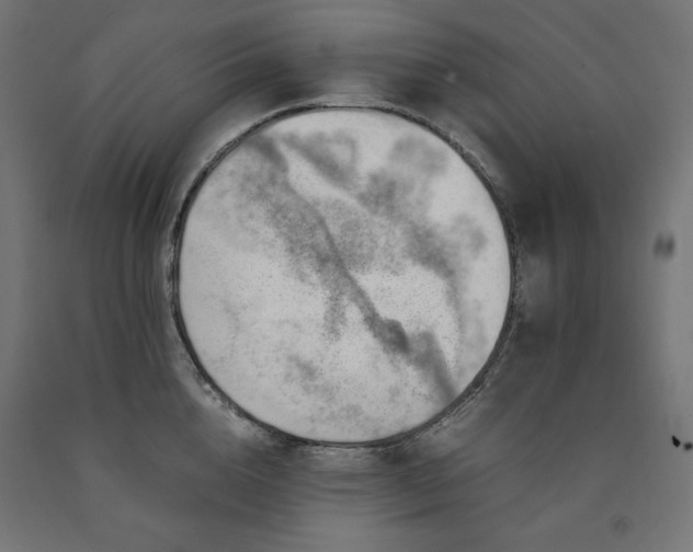 X0000091010856200708021547