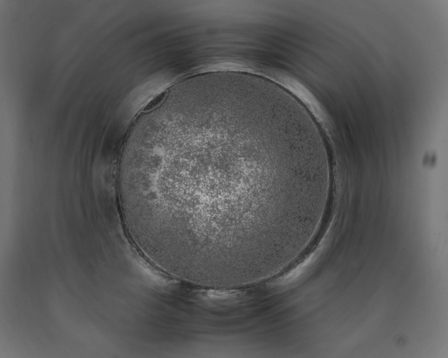 X0000091010857200708021547