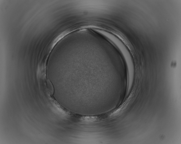 X0000091010858200708021547