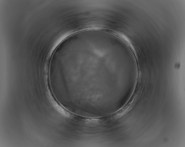 X0000091010859200708021547