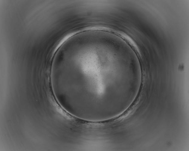 X0000091010860200708021547