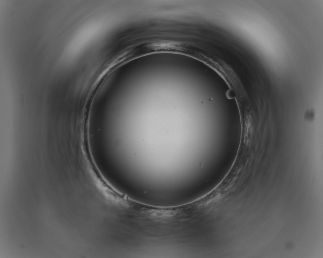X0000091010861200708021547