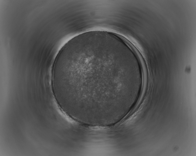 X0000091010862200708021547