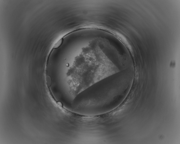 X0000091010863200708021547