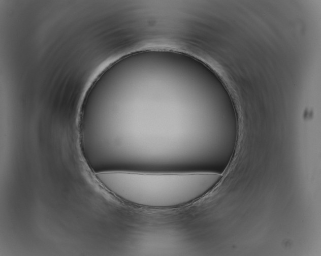 X0000091010864200708021547