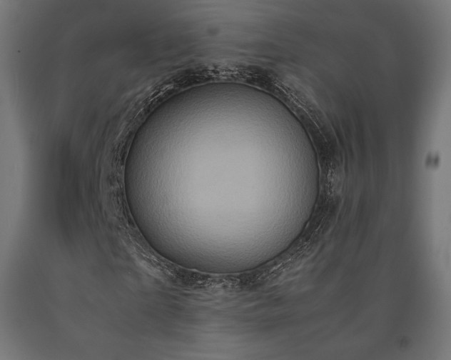 X0000091010865200708021546