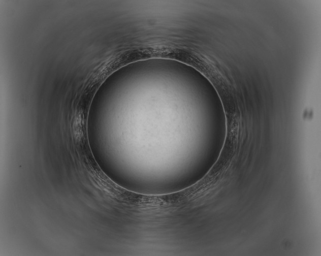 X0000091010866200708021546