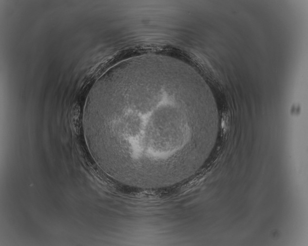 X0000091010867200708021546