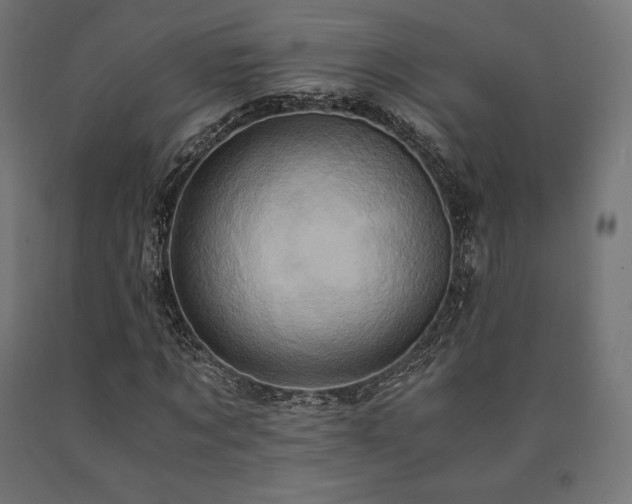 X0000091010869200708021546