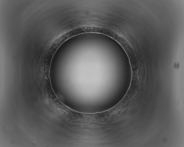 X0000091010870200708021546