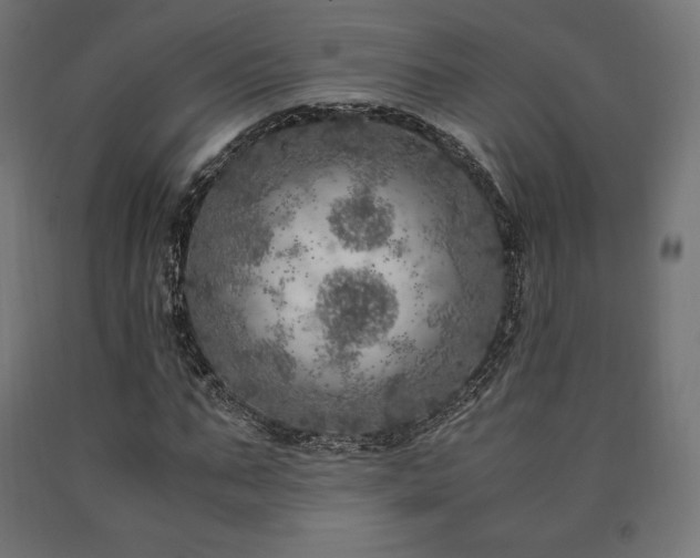 X0000091010871200708021546