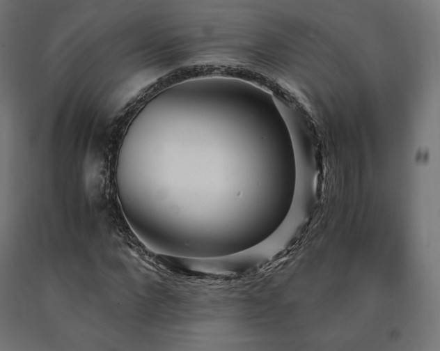 X0000091010872200708021546