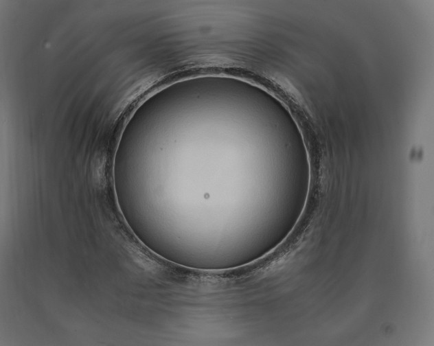 X0000091010873200708021546