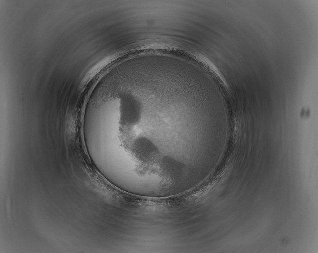X0000091010874200708021546