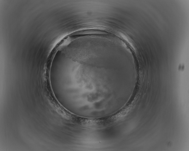 X0000091010875200708021546