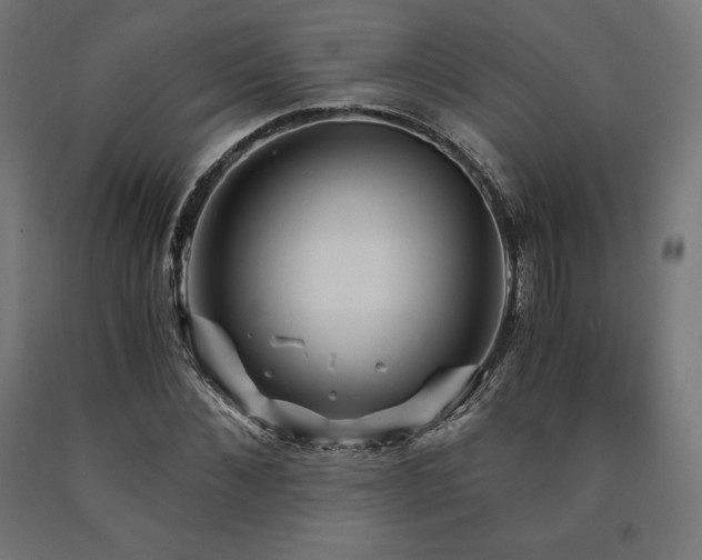 X0000091010876200708021546
