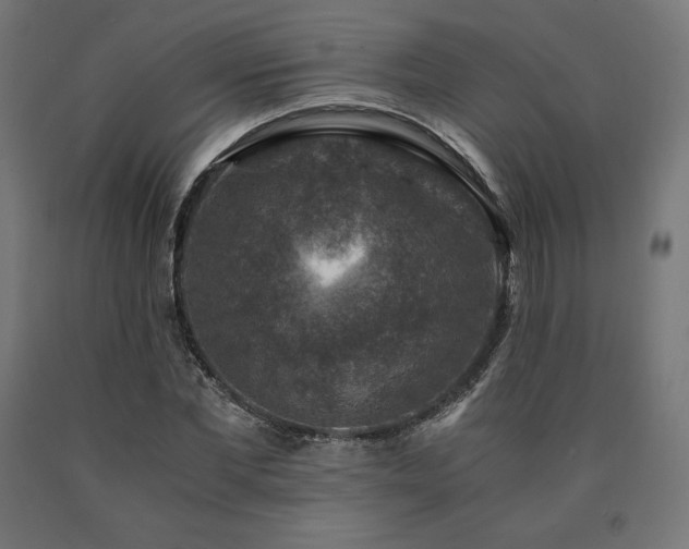X0000091010877200708021546