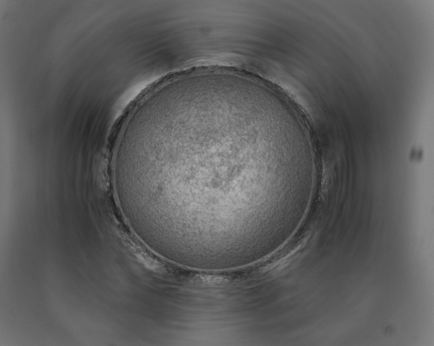X0000091010878200708021546