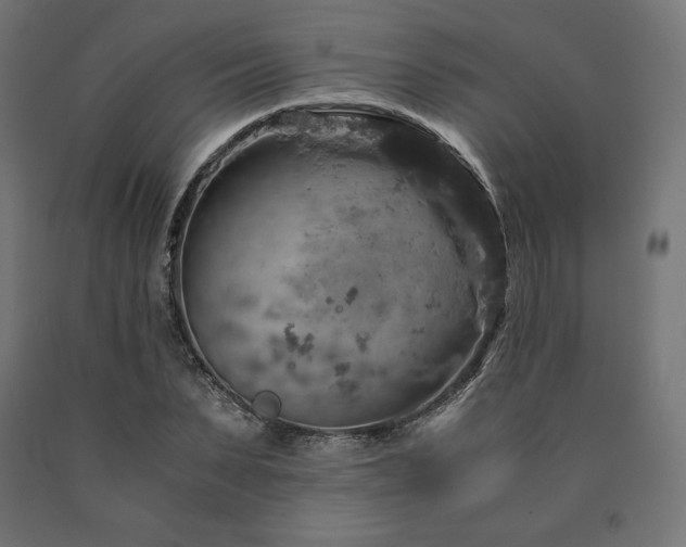 X0000091010879200708021546