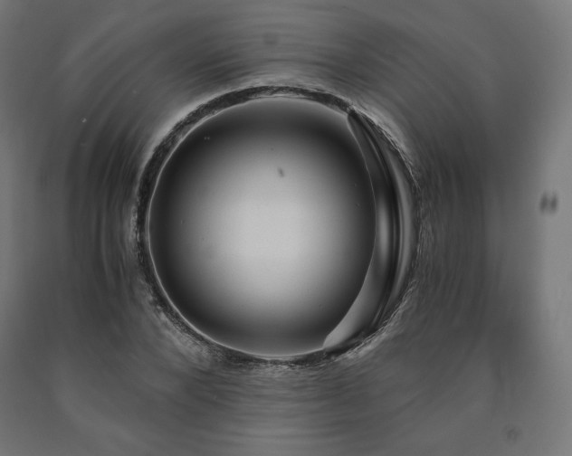 X0000091010880200708021546