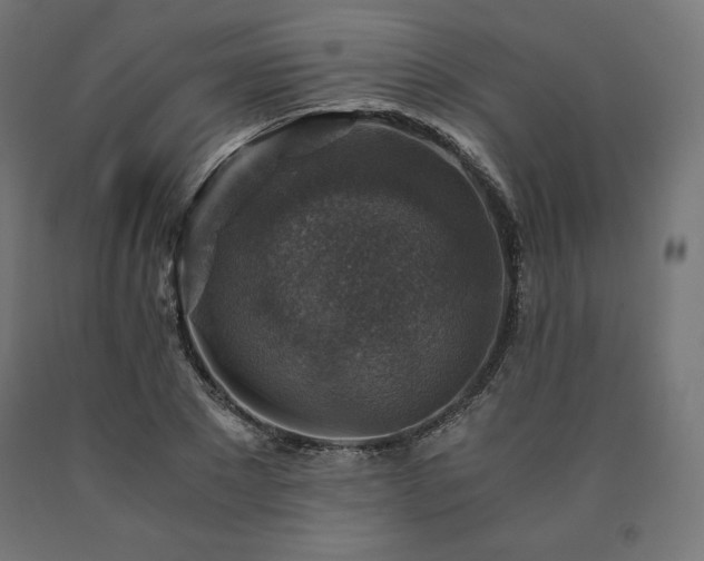 X0000091010881200708021546