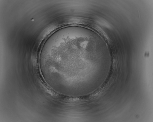 X0000091010882200708021546