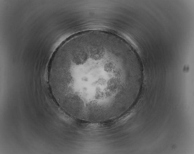 X0000091010883200708021546