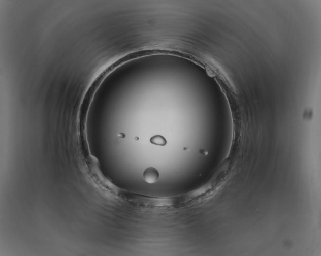 X0000091010884200708021546