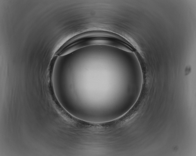 X0000091010885200708021546