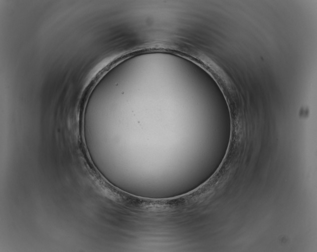 X0000091010886200708021546