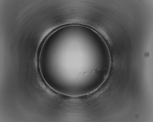 X0000091010888200708021546