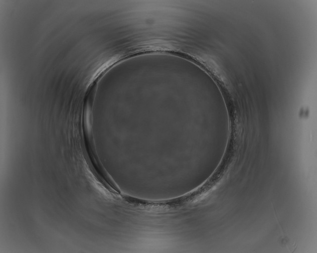 X0000091010889200708021546