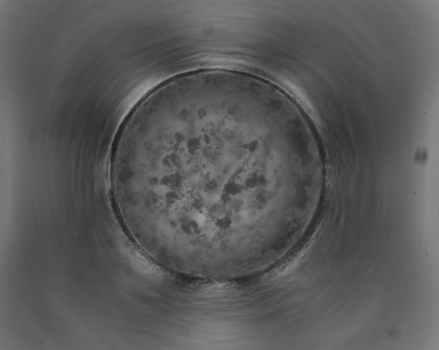 X0000091010891200708021546