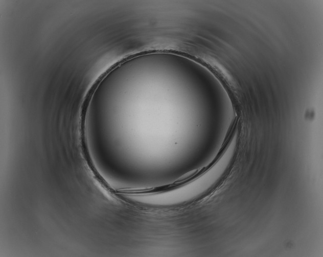 X0000091010894200708021546