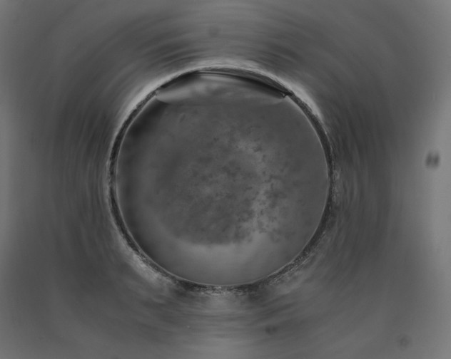 X0000091010895200708021546