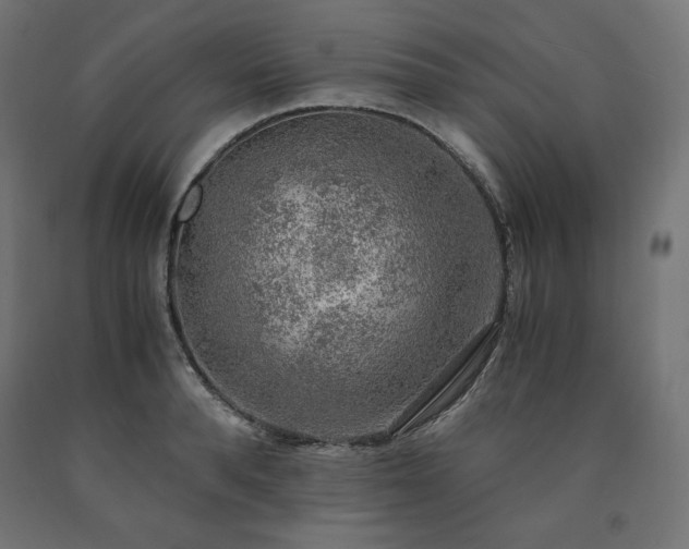 X0000091010896200708021546