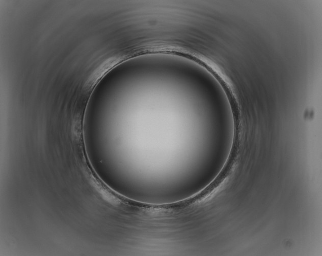 X0000091010897200708021546