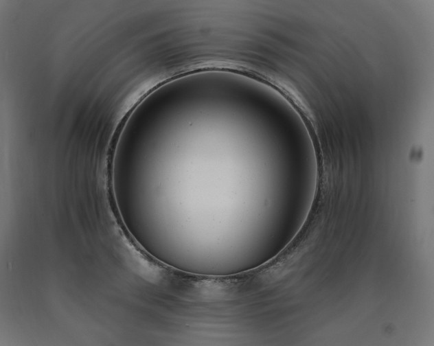 X0000091010898200708021546
