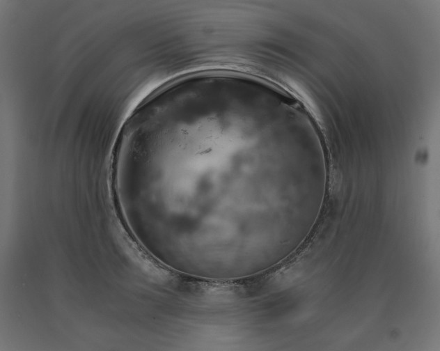 X0000091010899200708021546