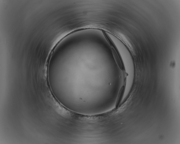 X0000091010900200708021546