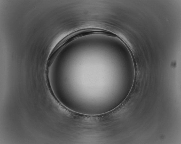 X0000091010901200708021546