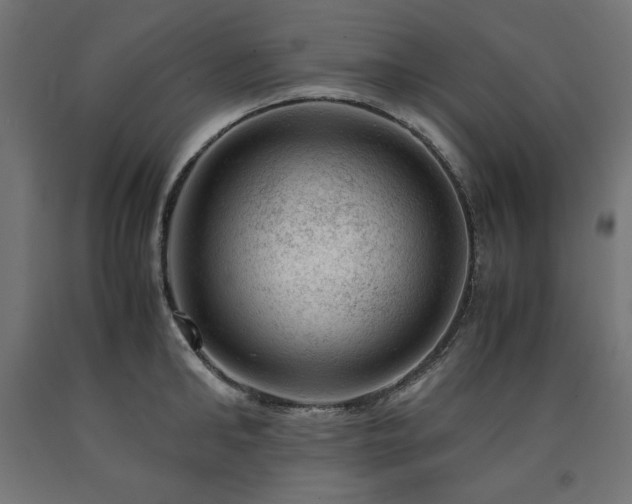 X0000091010902200708021546