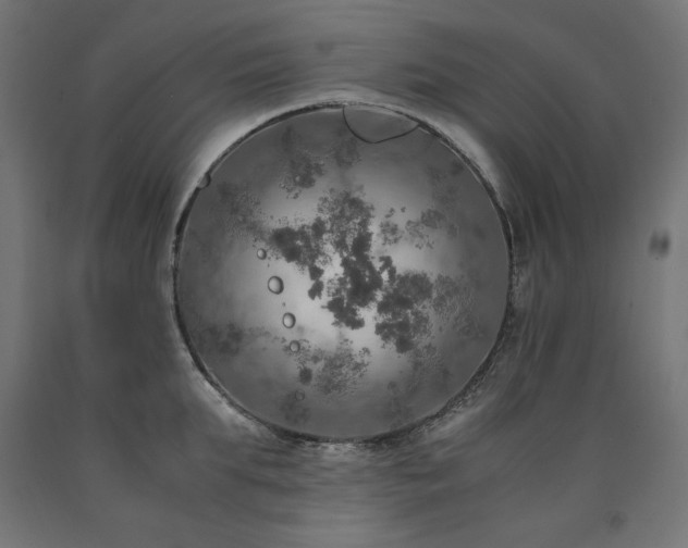 X0000091010903200708021546