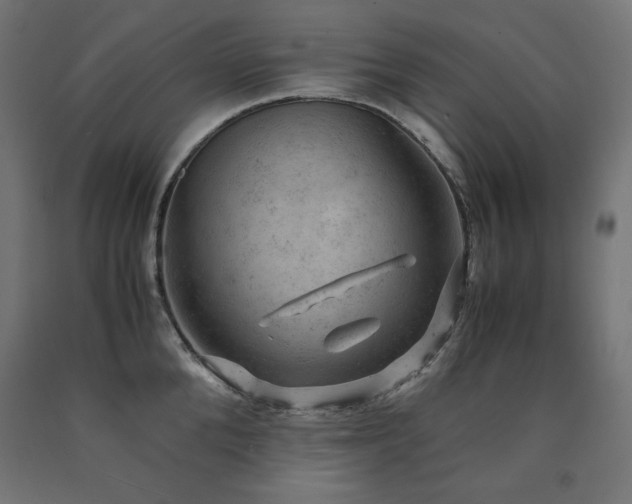 X0000091010904200708021546