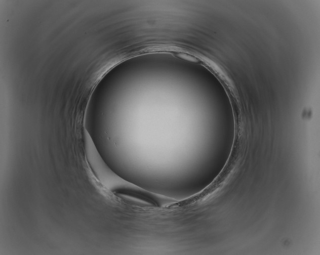 X0000091010905200708021546