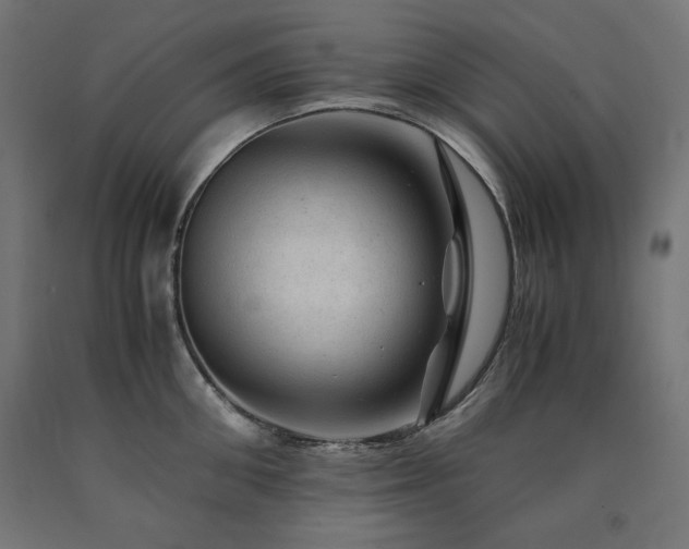 X0000091010906200708021546